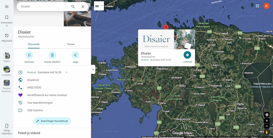Disaier Google Business